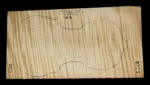 OPB-VIOLIN-2S-0329