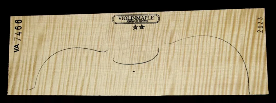 VIOLA-2S-7466