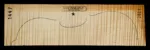 VIOLIN-1S-1447