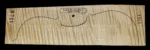VIOLIN-1S-1528