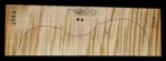 VIOLIN-2S-2562