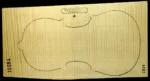 OPB-VIOLIN-1S-10084