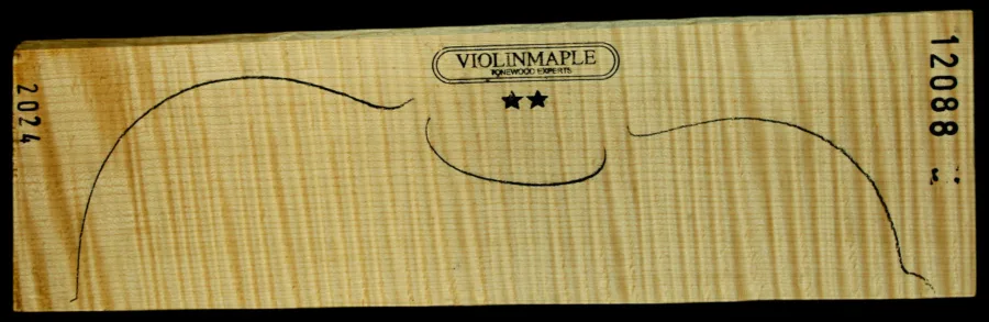 VIOLIN-2S-12088